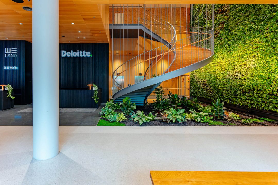 025 NCC WeLand 6-2025 LOW RES